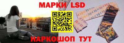 PSILOCYBIN Нальчик