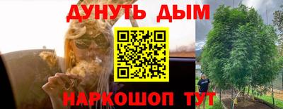 ECSTASY Новодвинск