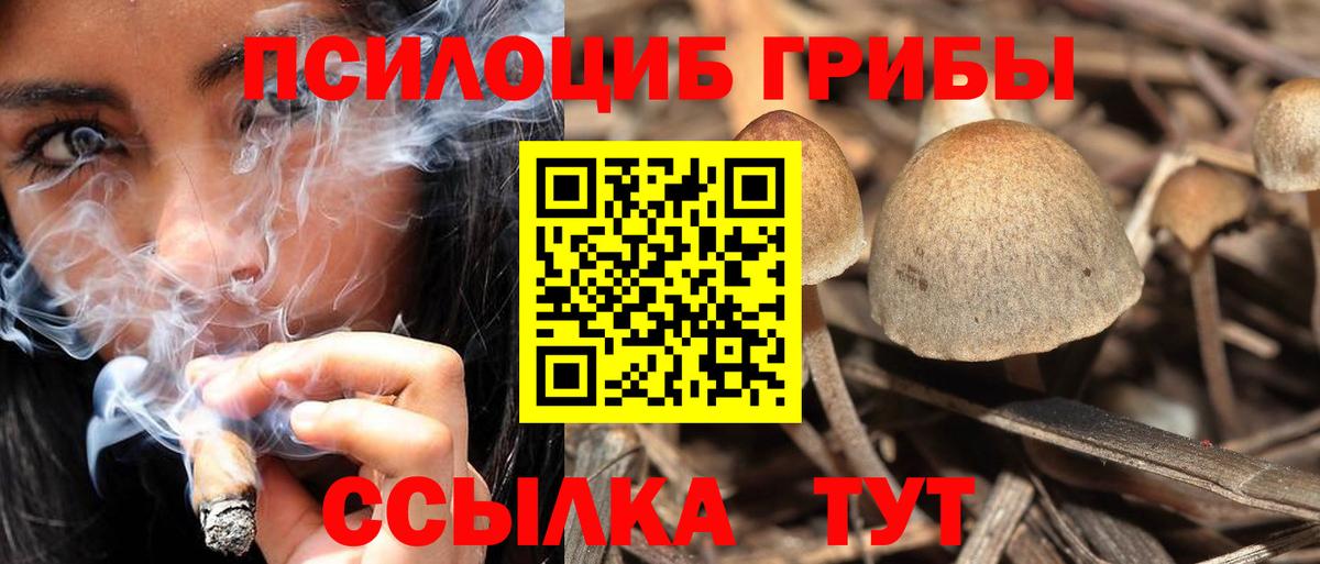 продажа наркотиков  Вход с VPN  Татарск  Псилоцибиновые грибы Magic Shrooms 